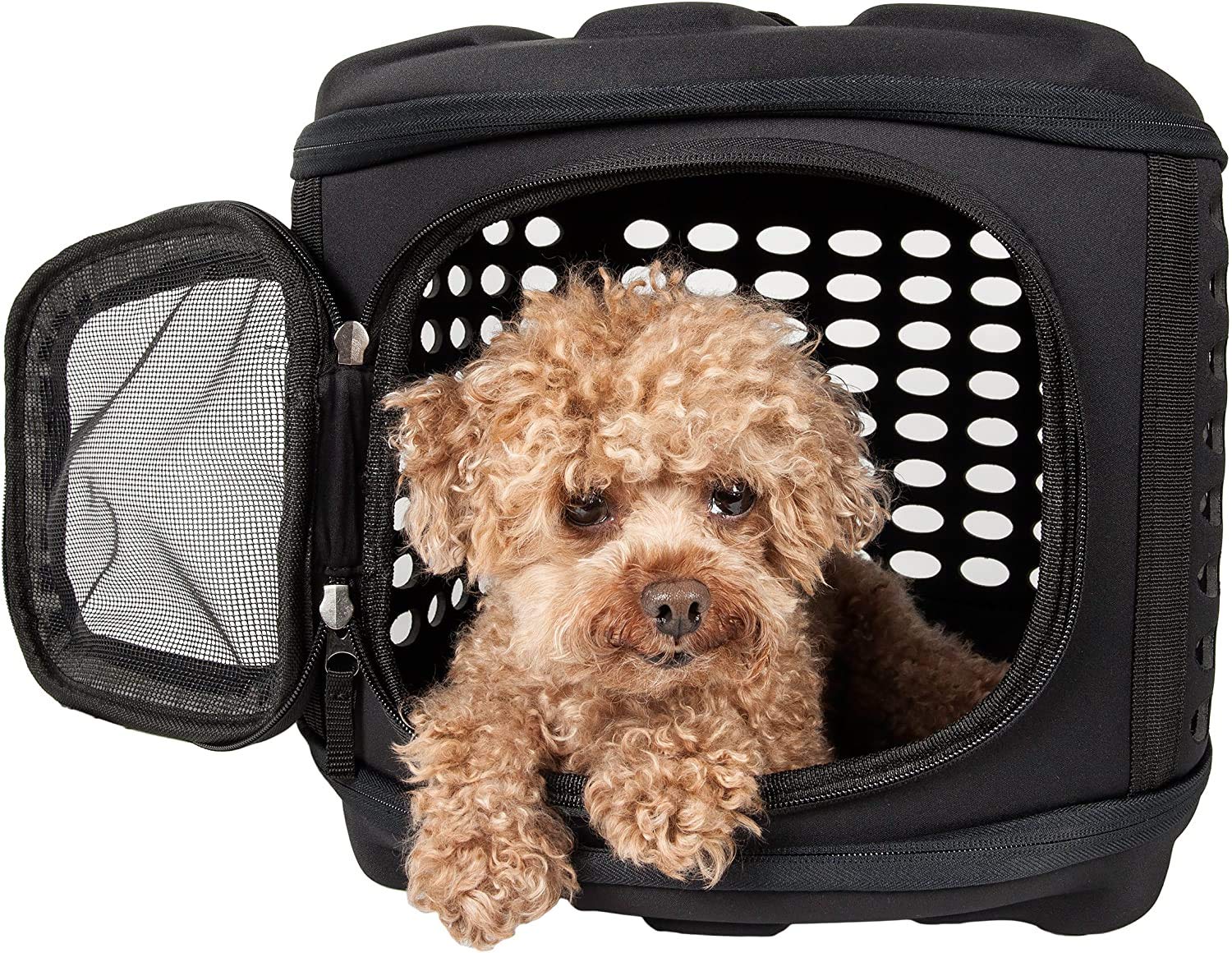 Collapsible Hard-Sided Cat Carrier for Travel - Ventilated Pet Crate for Small Dogs, Cats & Guinea Pigs - Foldable Dog Carrier for Car Trips & Vet Visits (Black) | Perfect for Air Travel, Road Trips & Vet Appointments