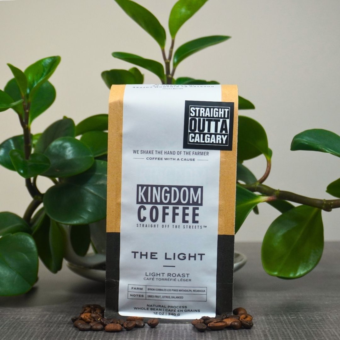 Kingdom Coffee Light Roast Coffee Beans - Premium Arabica for Home Brewing, Office & Gifts