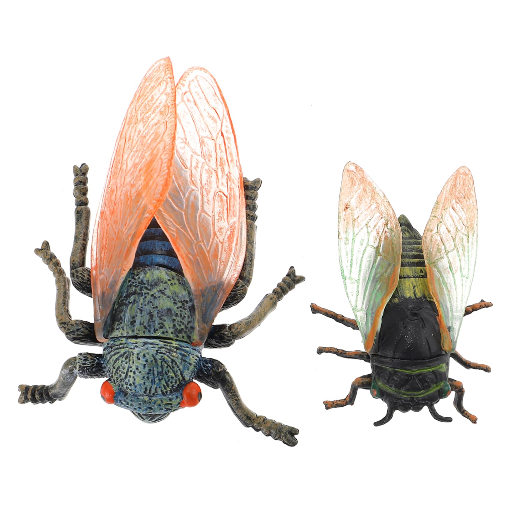 iFundom 2-Pack Realistic Cicada & Frog Animal Figures - Lifelike Simulation Insect & Amphibian Toys for Kids, Educational Playset, Durable Plastic 3D Models - Perfect for Nature Exploration, STEM Learning & Imaginative Play
