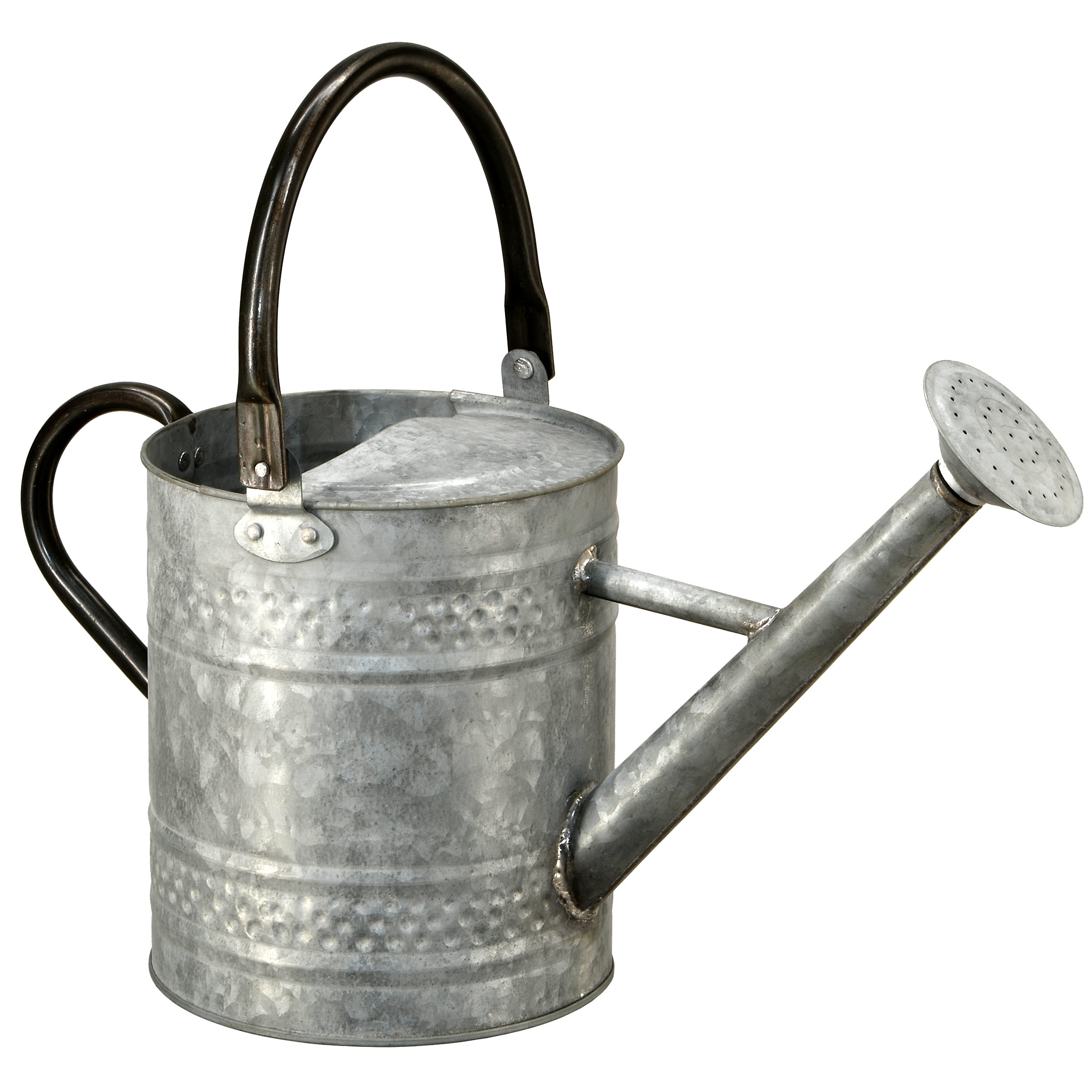 16 Inch Steel Metal Watering Can for Indoor & Outdoor Plants - Garden Watering Tool with Ergonomic Handle for Flowers, Herbs, and Houseplants