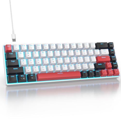 68 White-Ice Blue