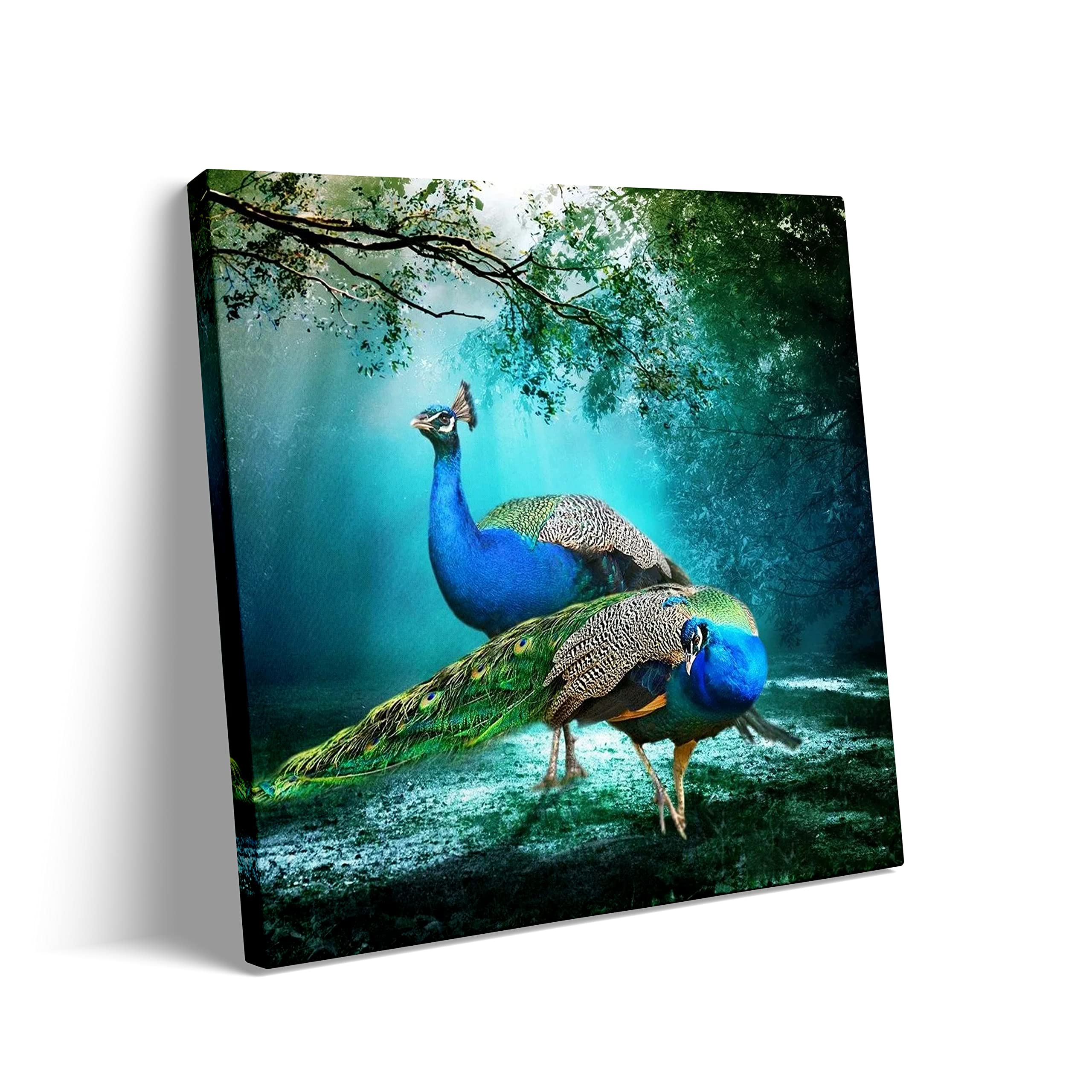 Peacock Canvas Wall Art - Bedroom & Living Room Decor