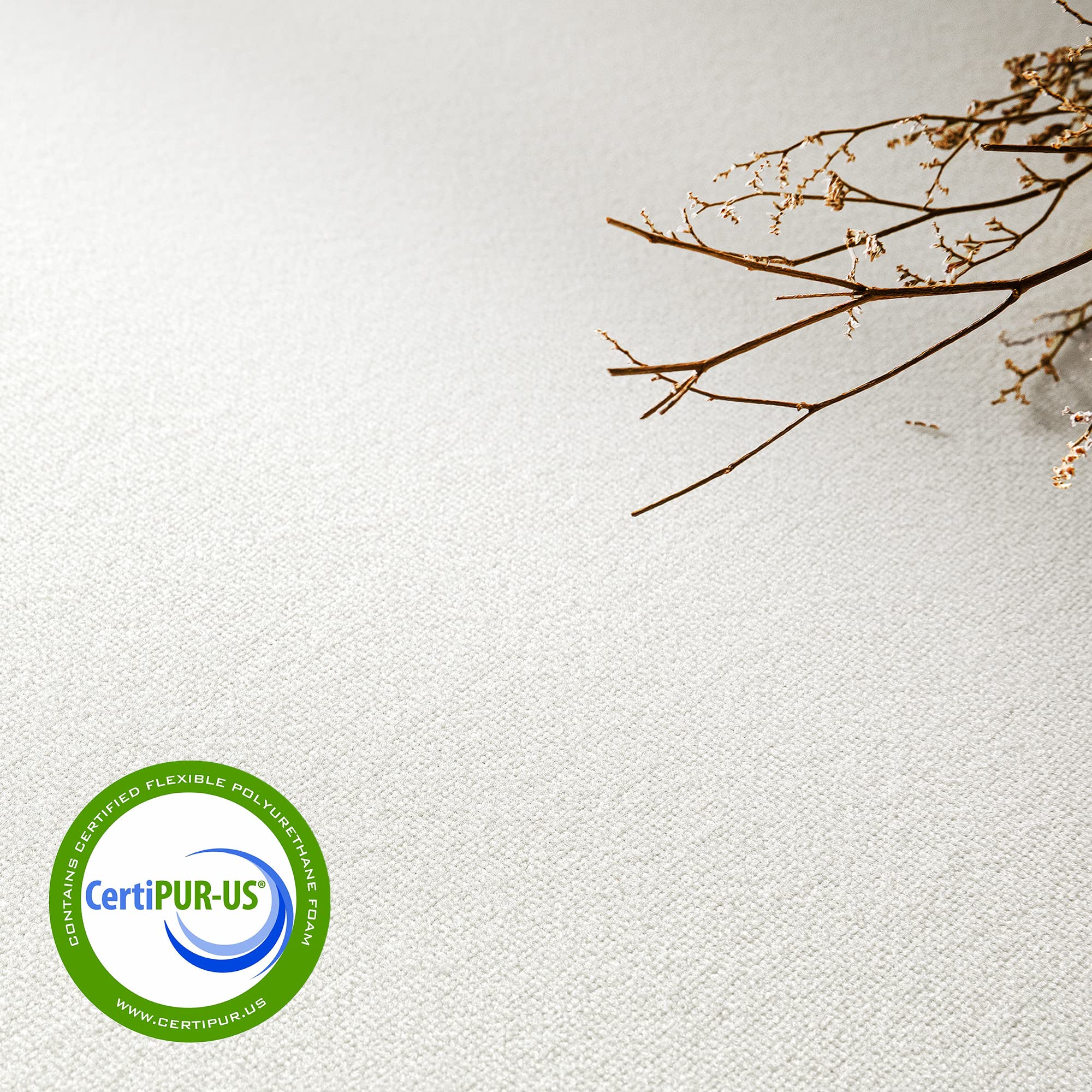 6 Inch Twin XL Memory Foam Mattress in a Box - Green Tea Infused Cooling Gel Mattress for Back Pain Relief | Perfect for Dorms, Guest Rooms & Small Spaces