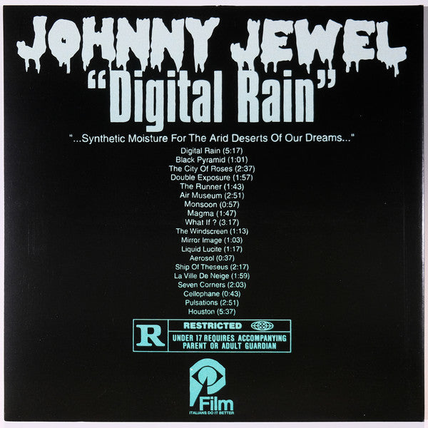 Johnny Jewel - Digital Rain Vinyl LP Album Limited Edition with Pin (Near Mint NM/M) - Perfect for Record Collectors & Music Enthusiasts