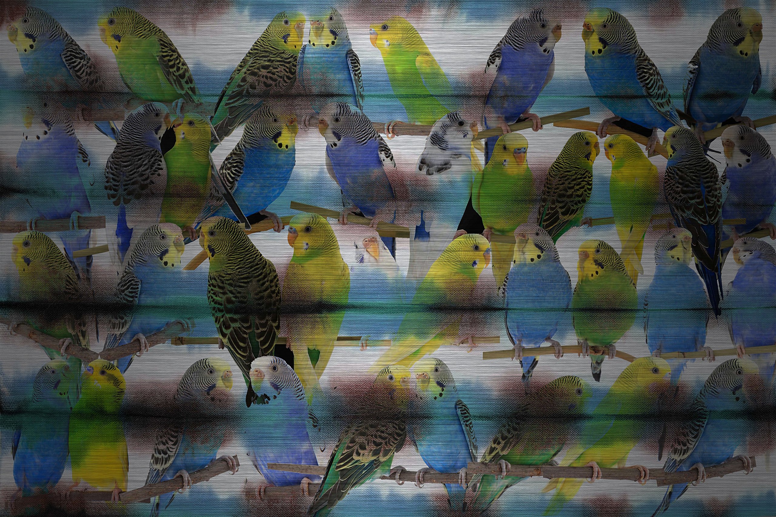 Parakeets Aluminum Wall Art - 24 x 16 Inches - Modern Bird Decor for Living Room, Bedroom & Office - Handmade Metal Wall Sculpture for Home & Office Decor