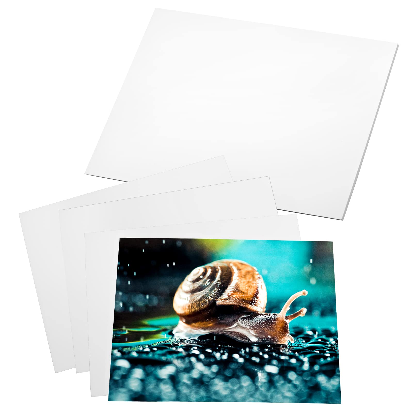 20 Sheets Glossy Photo Paper 8x10 Inch - 180gsm Premium Inkjet Printer Paper for Pictures, Flyers, Calendars & Brochures | Ideal for Home Printing, Office Documents & Professional Photography Projects