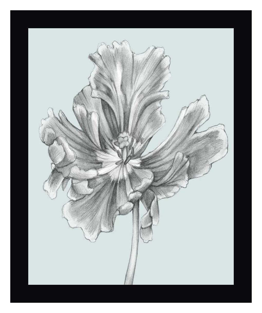 Jennifer Goldberger Silvery Blue Tulips III - 25x30 Inch Framed Canvas Wall Art Print with Black Frame - Ready to Hang - Perfect for Living Room, Bedroom, or Office Decor