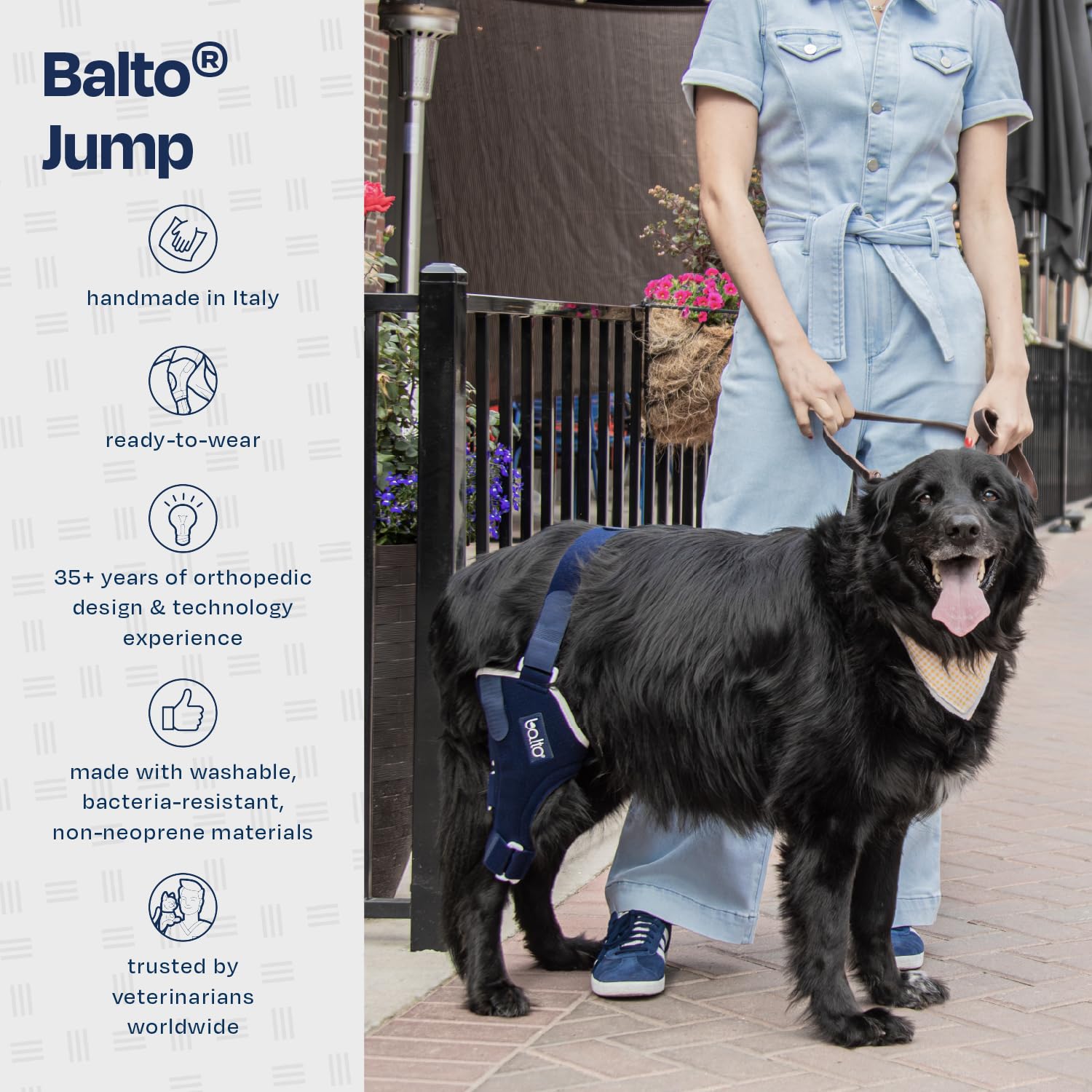 Balto Jump CCL Brace for Dogs – Adjustable Knee Support with Aluminum Splints – Pre & Post-Surgery Recovery Aid – Prevents Reinjury – Left Leg, XXS – Ideal for Active Dogs & Post-Op Care
