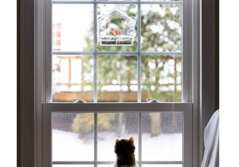 Window Bird Feeder - Clear View Bird Watching Feeder with Strong Suction Cups - Perfect for Home, Office & Garden Bird Lovers