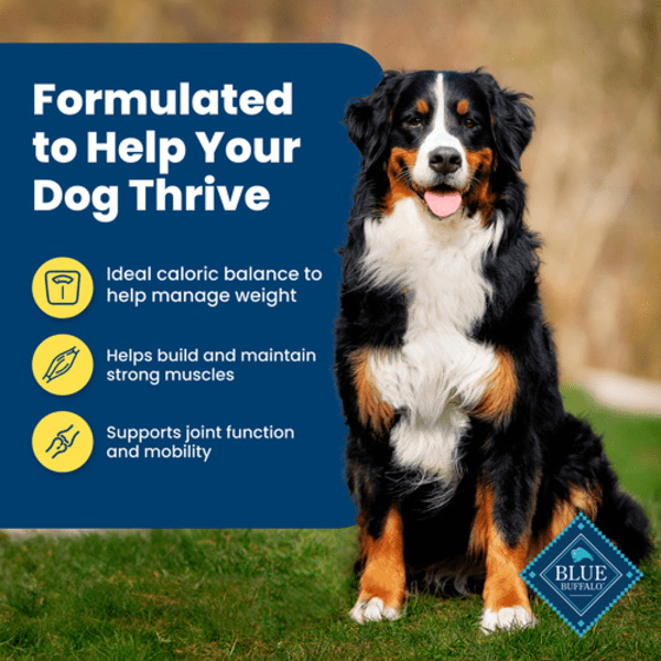 BLUE Life Protection Formula Healthy Weight Dry Dog Food - Chicken & Brown Rice Recipe for Adult Dogs | High Protein, Grain-Inclusive Kibble for Weight Management | Perfect for Indoor & Less Active Dogs