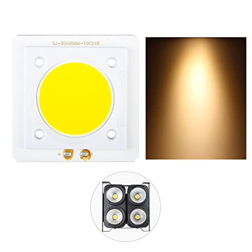 Cob 100w Warm White