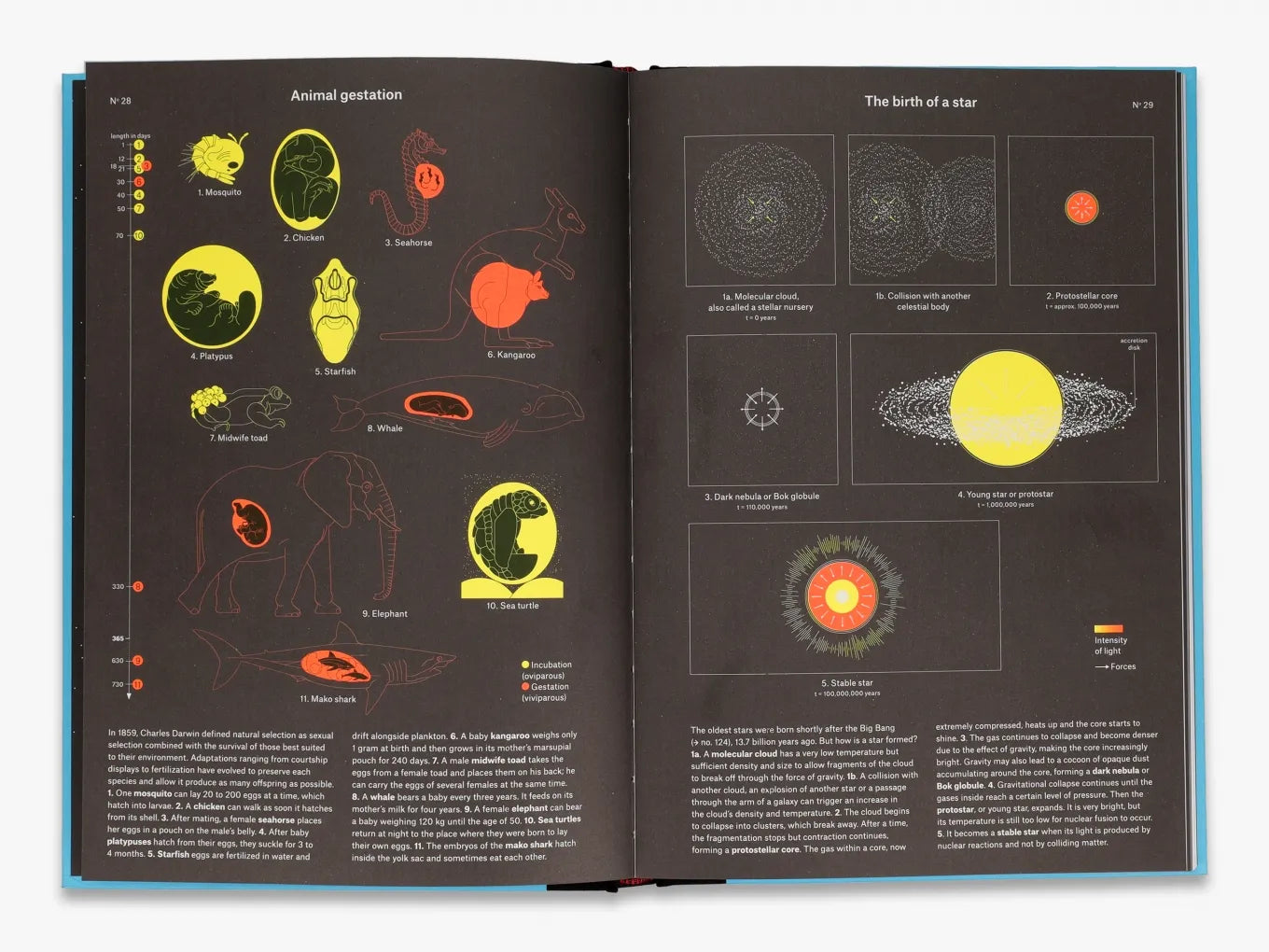 Phenomena - Explore the Mysteries of the Universe | Perfect for Science Enthusiasts & Gift Ideas