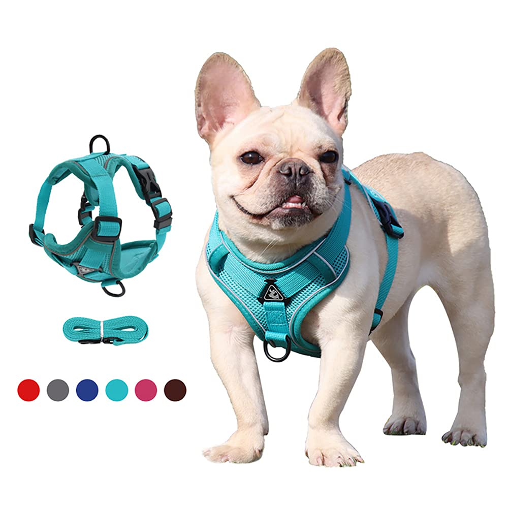 Adjustable Breathable Reflective Dog Harness & Leash Set - No Pull Pet Vest with Seatbelt for Small to Medium Dogs & Cats - Perfect for Walking, Running, and Car Safety
