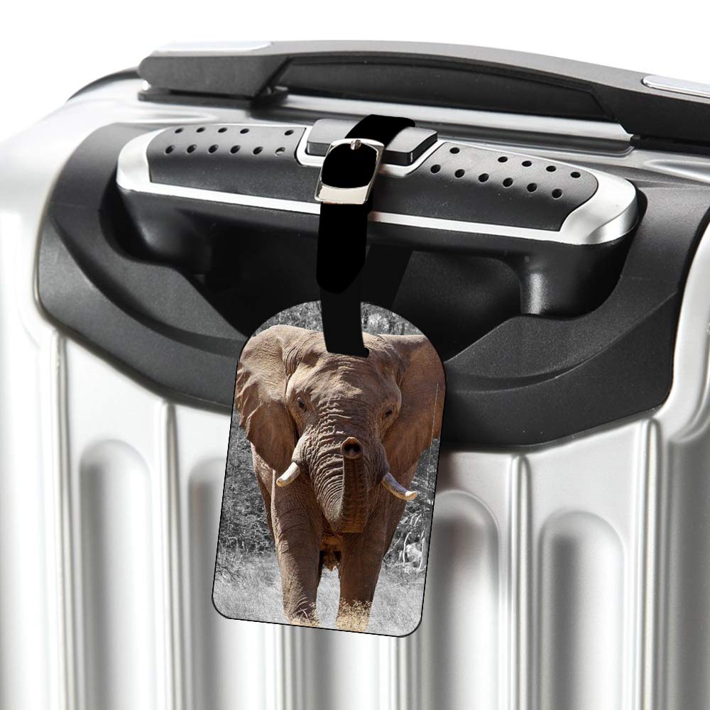 African Elephant Luggage Tag - Durable Suitcase Label & Travel Baggage Name Tag (1 Pack) - Perfect for Airports, Cruise Ships & Business Trips