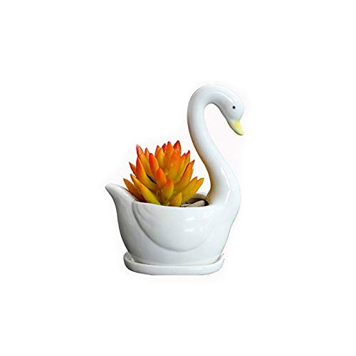 Creative Ceramic Flower Plant Pots for Home, Living Room & Office - Breathable Indoor Plant Pots for Succulents, Herbs & Small Plants - Perfect for Desktop Decor, Housewarming Gifts & Indoor Gardening