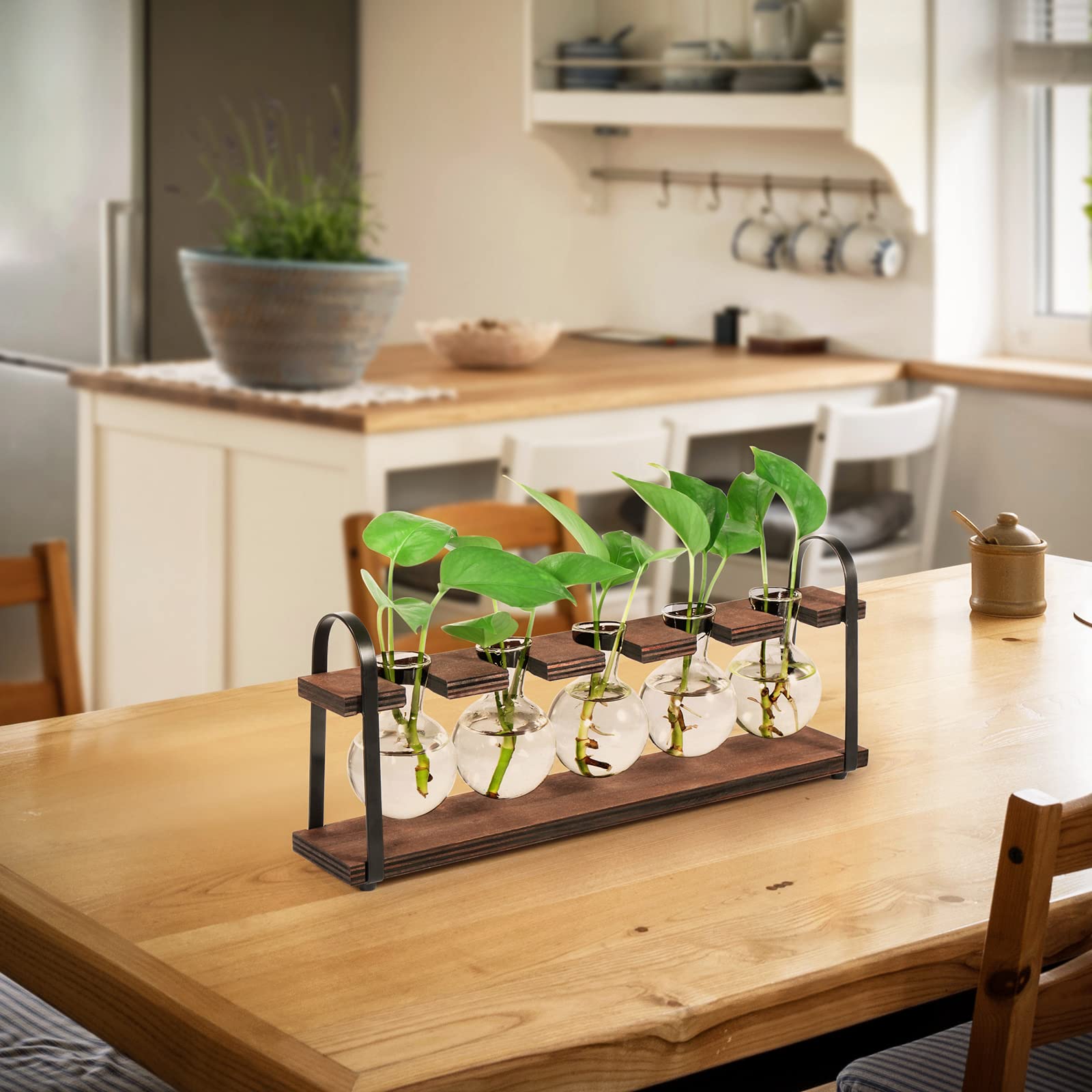 THYGIFTREE Plant Propagation Stations with Wooden Stand - Retro Glass Terrarium Bulb Vase for Indoor Hydroponic Flowers | Desktop Planter for Home Office Decor, Housewarming Gift for Plant Lovers (Perfect for Windowsills, Desks & Shelf Displays)