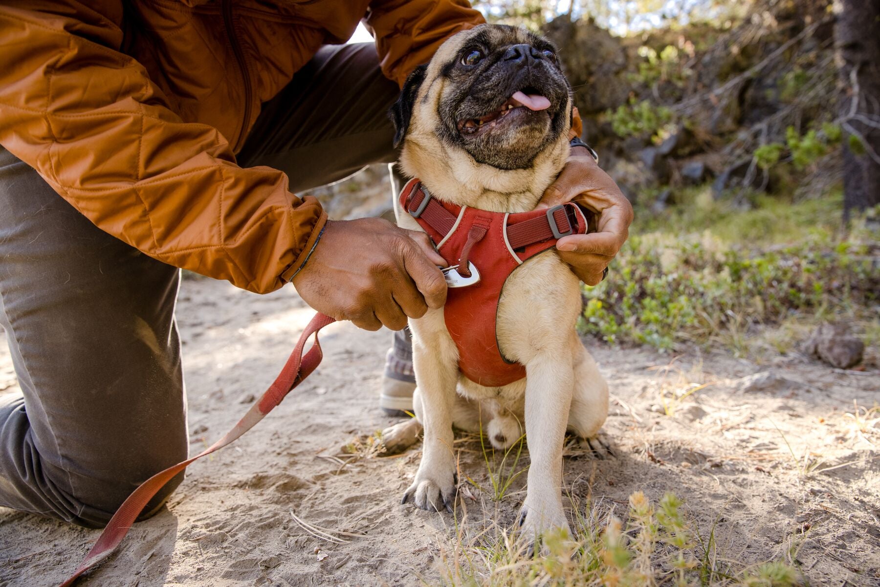 Front Range Dog Harness - No-Pull Reflective Pet Vest with Padded Chest, Adjustable Straps for Small Medium Large Dogs - Perfect for Walking, Hiking & Outdoor Adventures