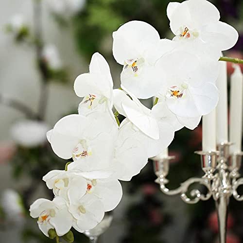 40 Inch Artificial Phalaenopsis Silk Orchid Flowers - Real Touch White Fake Orchid Branches for Home, Office, Wedding, Party & Event Decor - Pack of 2 - Perfect for Centerpieces, Vase Arrangements & Wall Decor