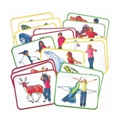 Body Poetry Yoga Cards - 50 Illustrated Poses for Home & Studio Practice - Perfect for Beginners & Instructors | Yoga Pose Deck for Mindfulness & Fitness