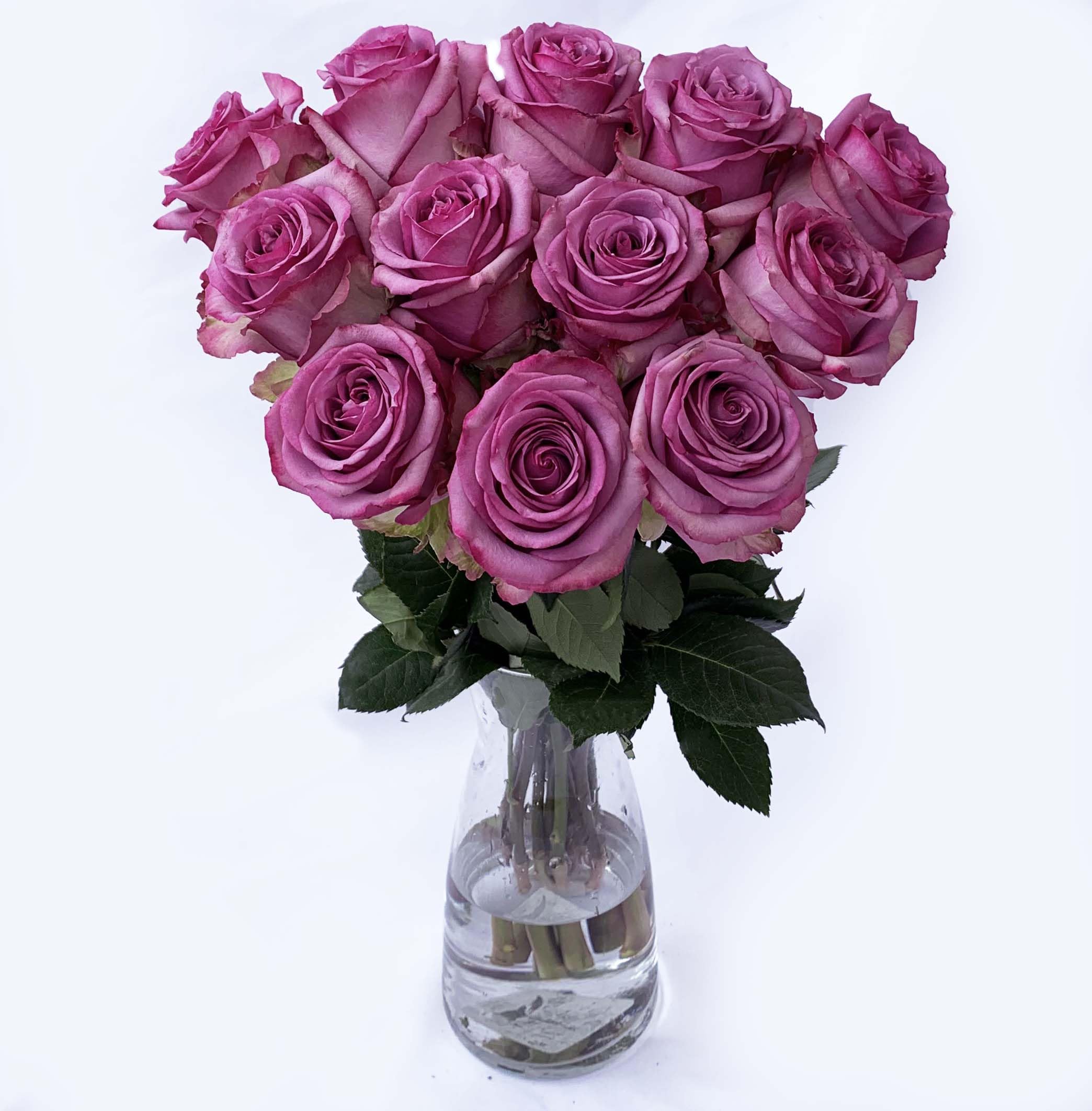 Fresh Lavender Roses Bouquet - 12 Farm Direct Stems for Valentine's Day, Anniversary & Romantic Gifts (Includes Vase) | Perfect for Wedding Decor, Home Centerpieces & Special Occasion Flower Delivery