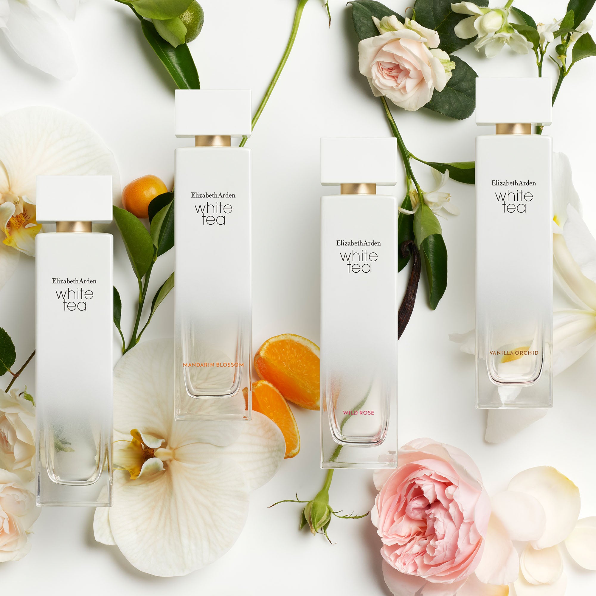 White Tea Wild Rose Eau De Toilette Spray for Women - Fresh Floral Fragrance Perfume | Perfect for Daily Wear, Date Night & Special Occasions