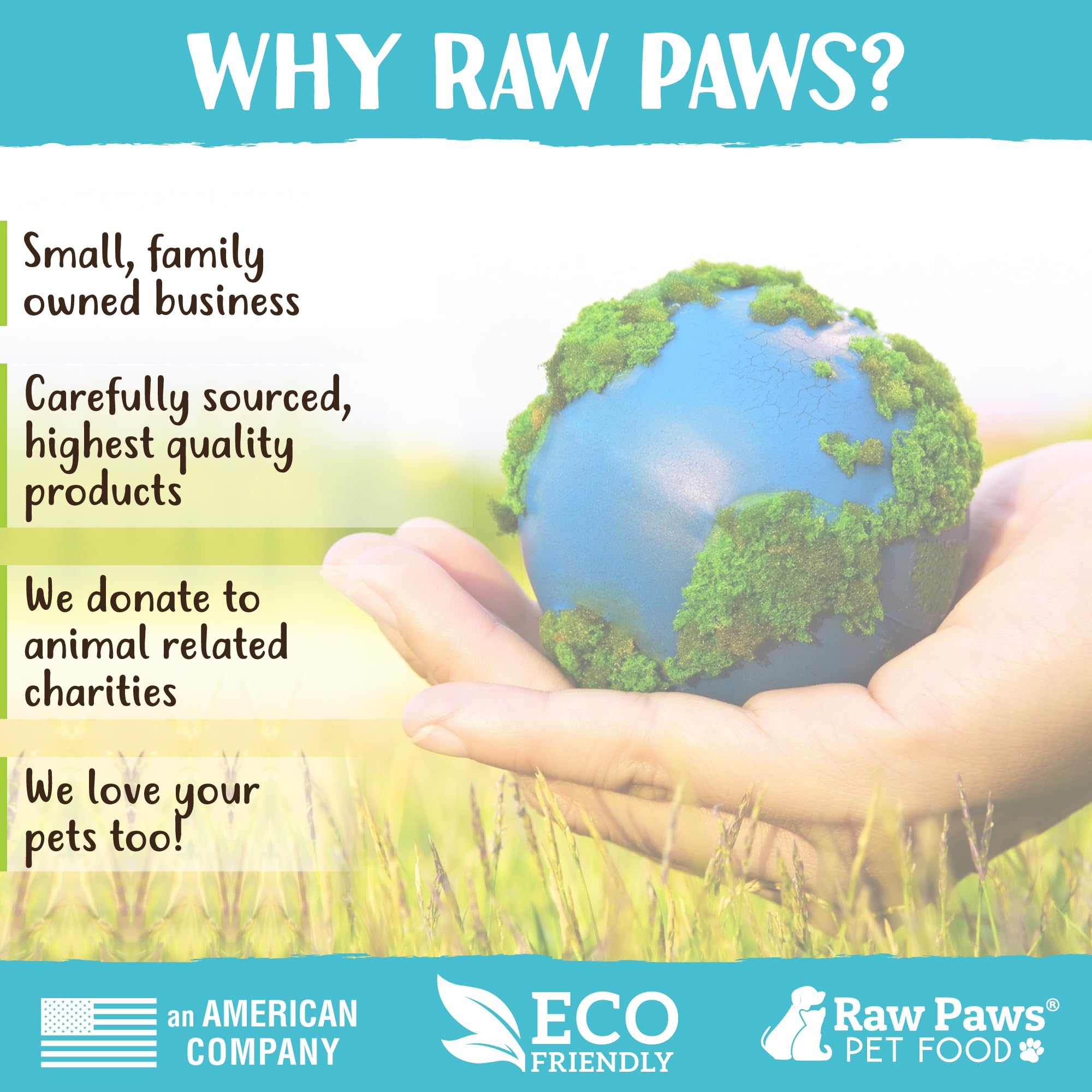 **Freeze-Dried Smelt Minnows for Cats & Dogs - 2oz Single-Ingredient Fish Treats - Made in USA - Healthy Raw Paws Dog & Cat Snacks - Perfect for Training, Rewards & Dental Health**