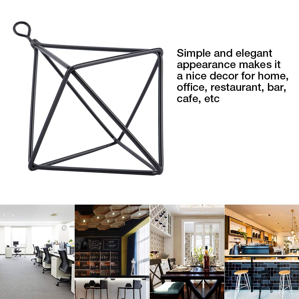 Geometric Air Plant Holders - Modern Hanging Stand for Tillandsia, Bromeliads & Succulents | Stylish Home Decor for Living Room, Office & Gifts (Black)