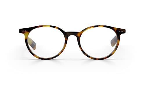 Tortoise Front and Temples
