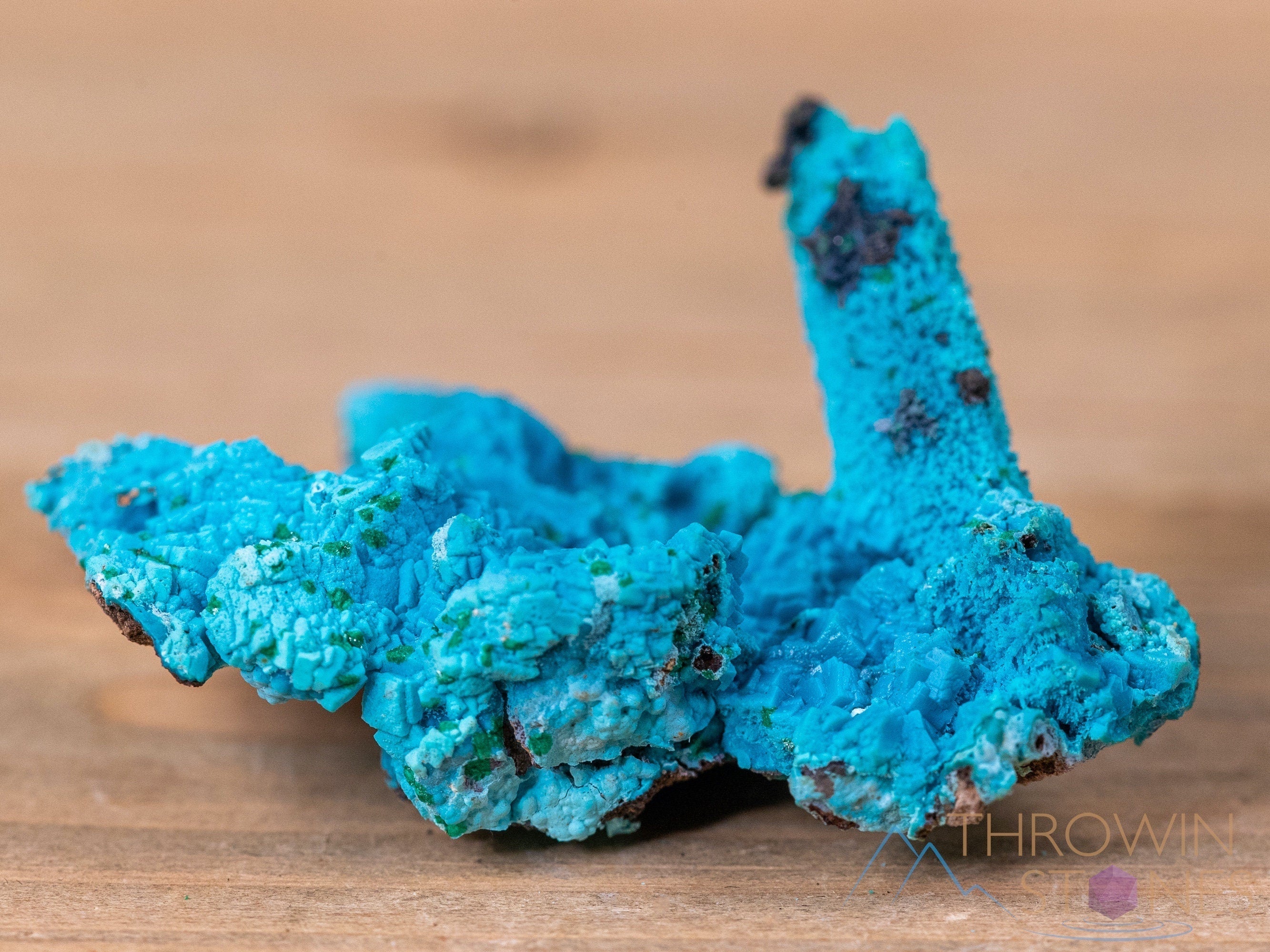 Natural CHRYSOCOLLA Pseudomorph after AZURITE & MALACHITE Raw Crystal with Calcite - Healing Stone Collection, Unique Housewarming Gift, Spiritual Home Decor for Meditation & Energy Cleansing | Raw Gemstone Specimen 40491