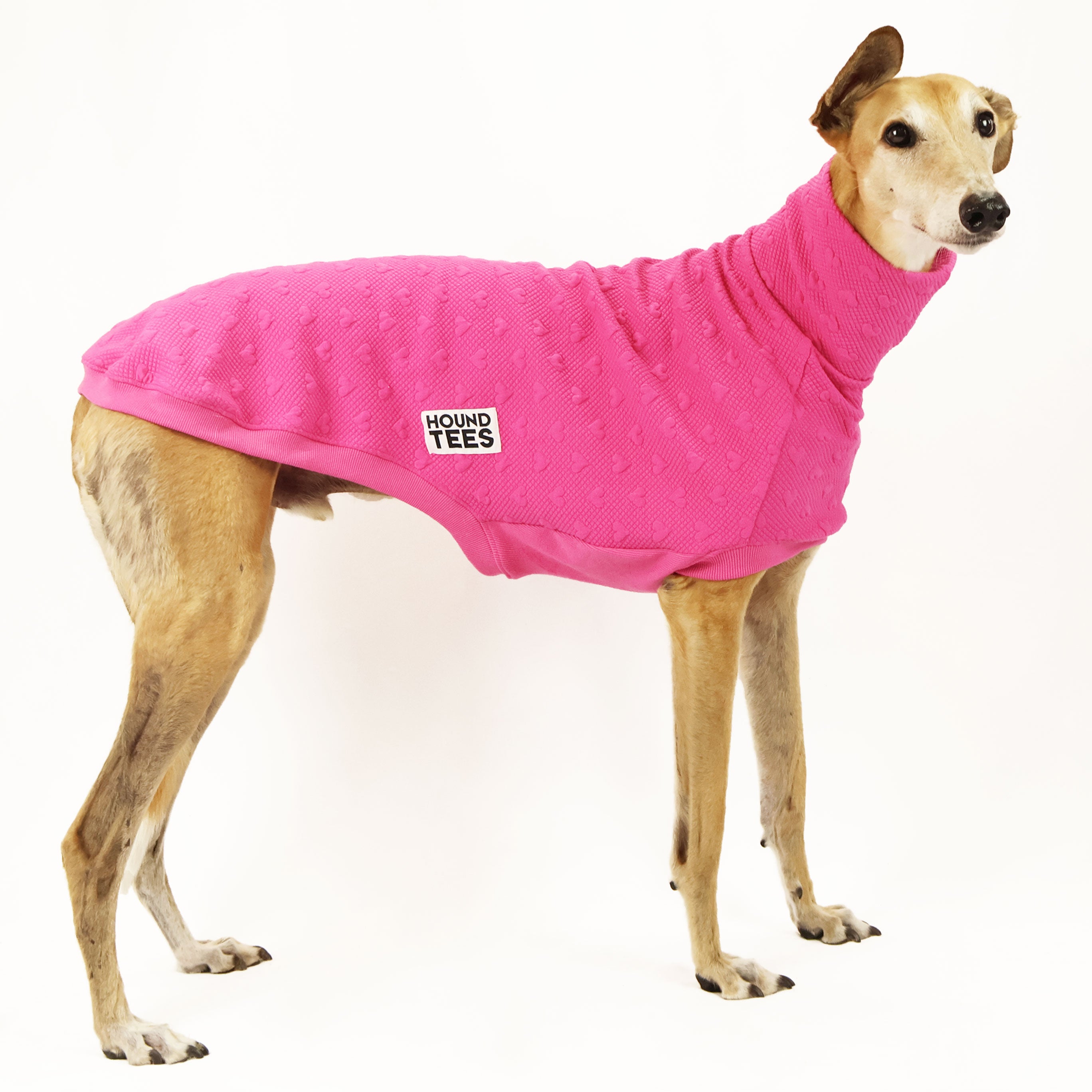 Luffs Greyhound Quilted Sleeveless Sweater for Women - Lightweight Dog Themed Vest Top for Casual Wear & Dog Lovers - Perfect for Dog Parks, Pet Events, and Everyday Fashion