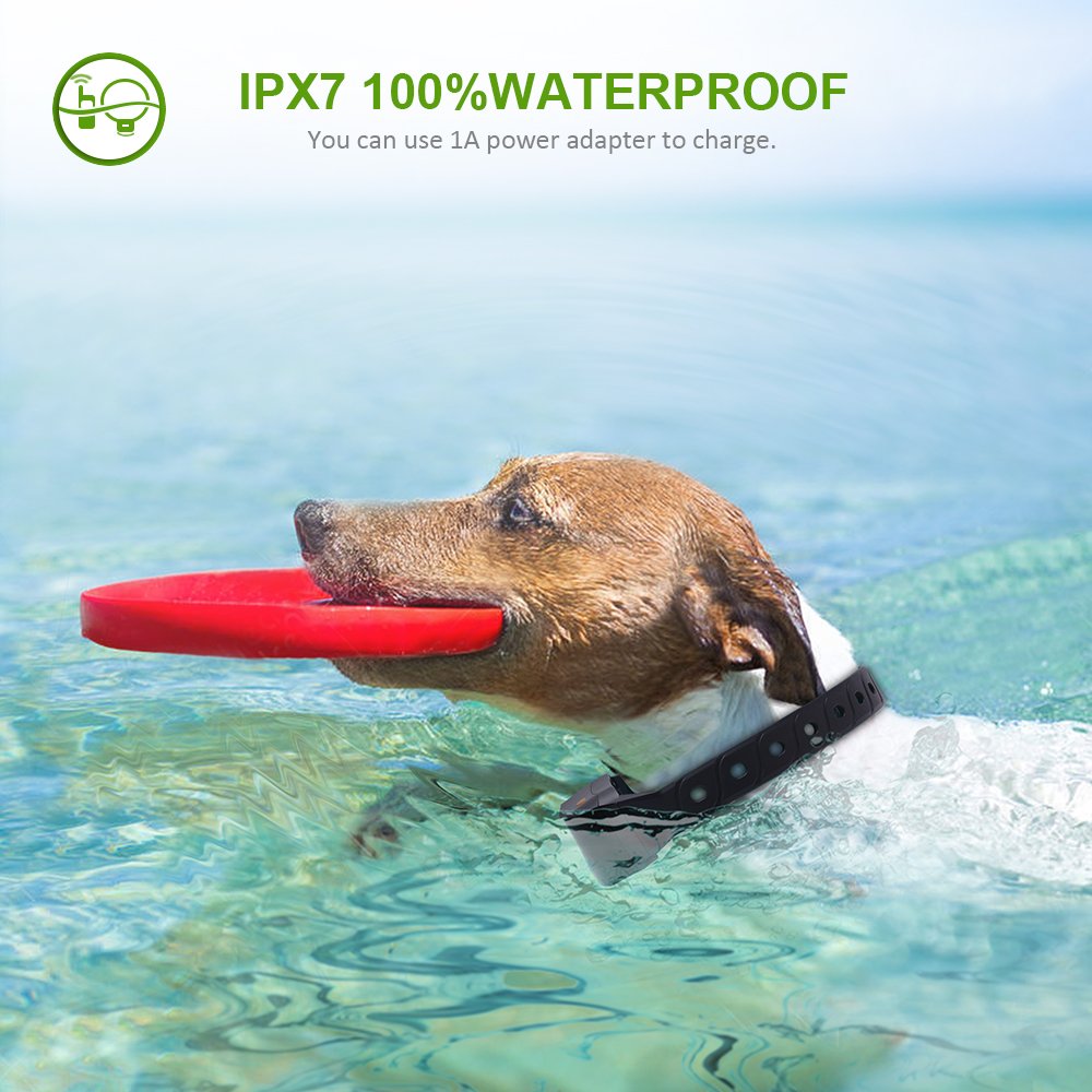 **No Shock Vibration Collar for Dogs - 1980ft Remote, IPX7 Waterproof, Rechargeable Training Collar for Small to Medium Dogs (22-88lbs) - Perfect for Deaf Dogs & Blind Operation - Ideal for Obedience Training, Bark Control & Outdoor Adventures**