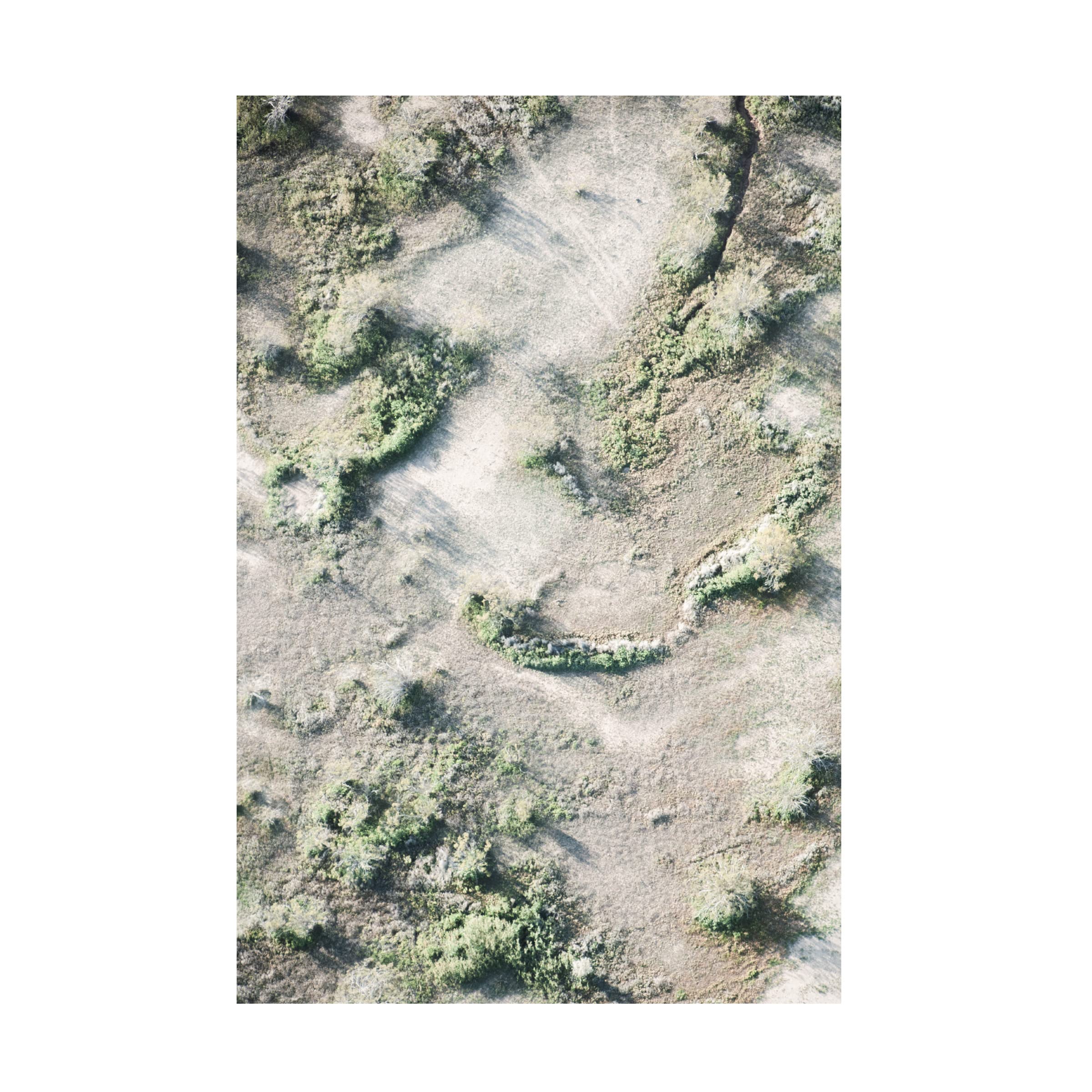 Blue Palomino 'Topography Sand And Shrub' Canvas Wall Art Print - Modern Landscape Painting for Living Room, Bedroom & Office Decor