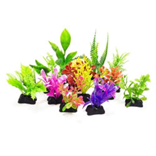 AQUATOP Aquatic Plants Power Pack for Aquariums - Live Freshwater Plants for Fish Tanks, Aquascaping & Aquatic Decor - Perfect for Beginners & Professional Aquascapers