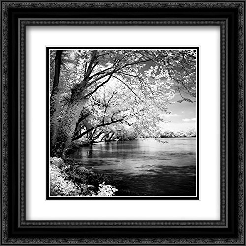 Alan Hausenflock 15x15 Inch Black Ornate Framed Art Print - Spring on The River Square I - Double Matted Museum Quality Wall Decor - Perfect for Living Room, Bedroom & Office