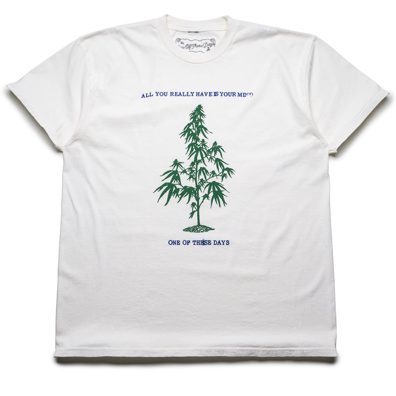 One Of These Days All You Really Have Is Your Mind Graphic T-Shirt in Bone - Stylish Casual Wear for Everyday Outfits and Street Fashion