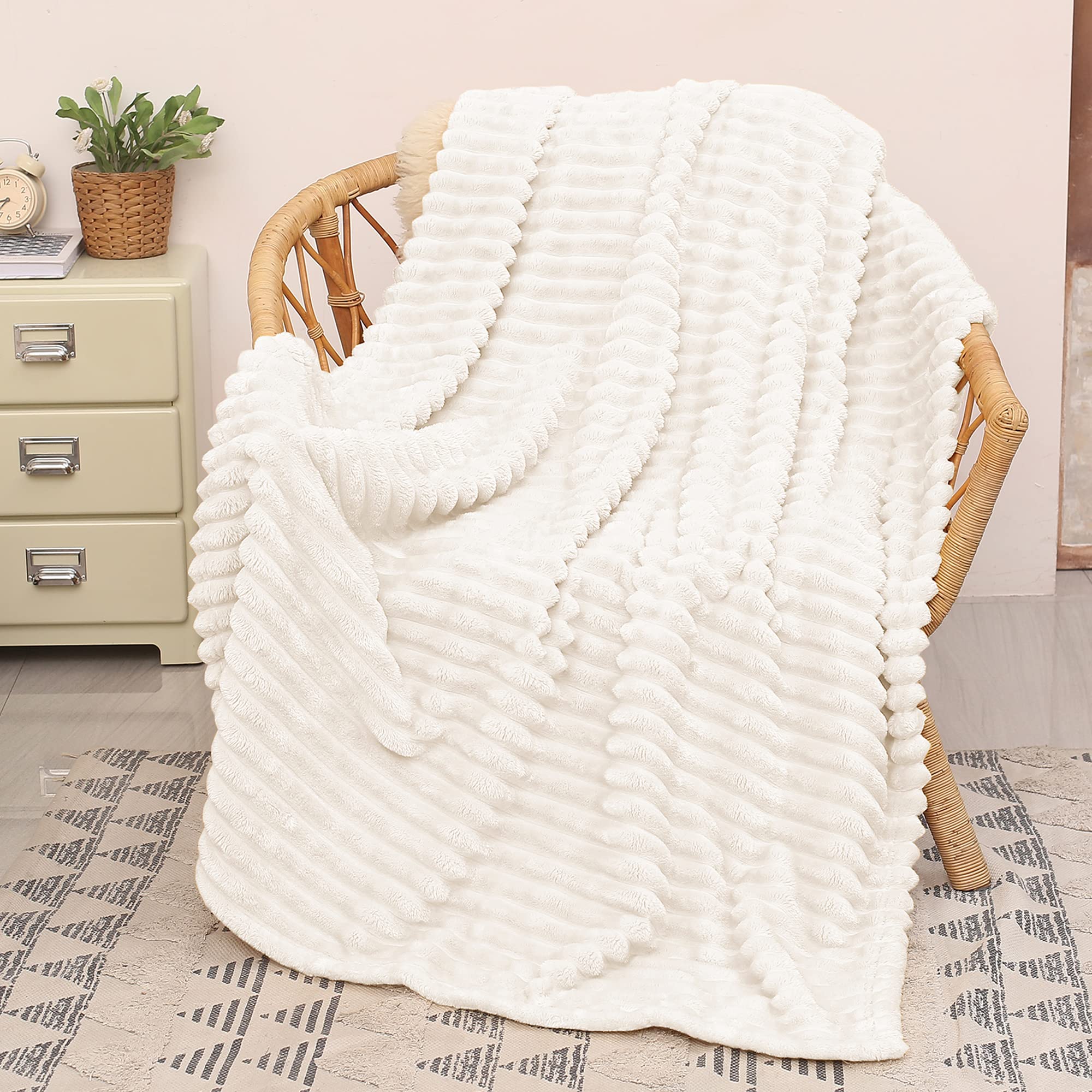 The Cozy Companion: A Tale of Warmth and Comfort