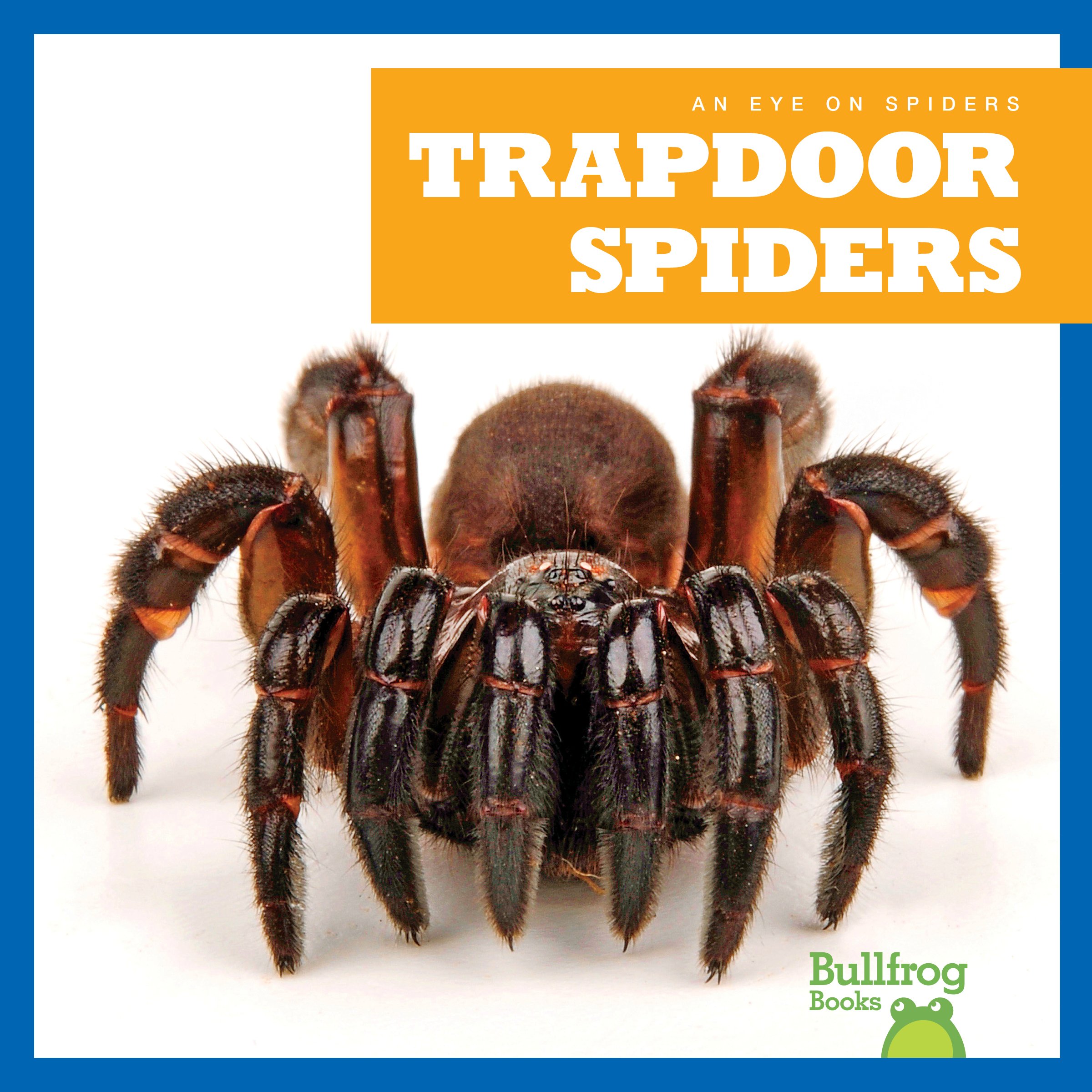 Trapdoor Spiders Book - Bullfrog Books: An Eye on Spiders - Educational Kids Book About Spider Species - Perfect for Classroom Learning & Nature Enthusiasts