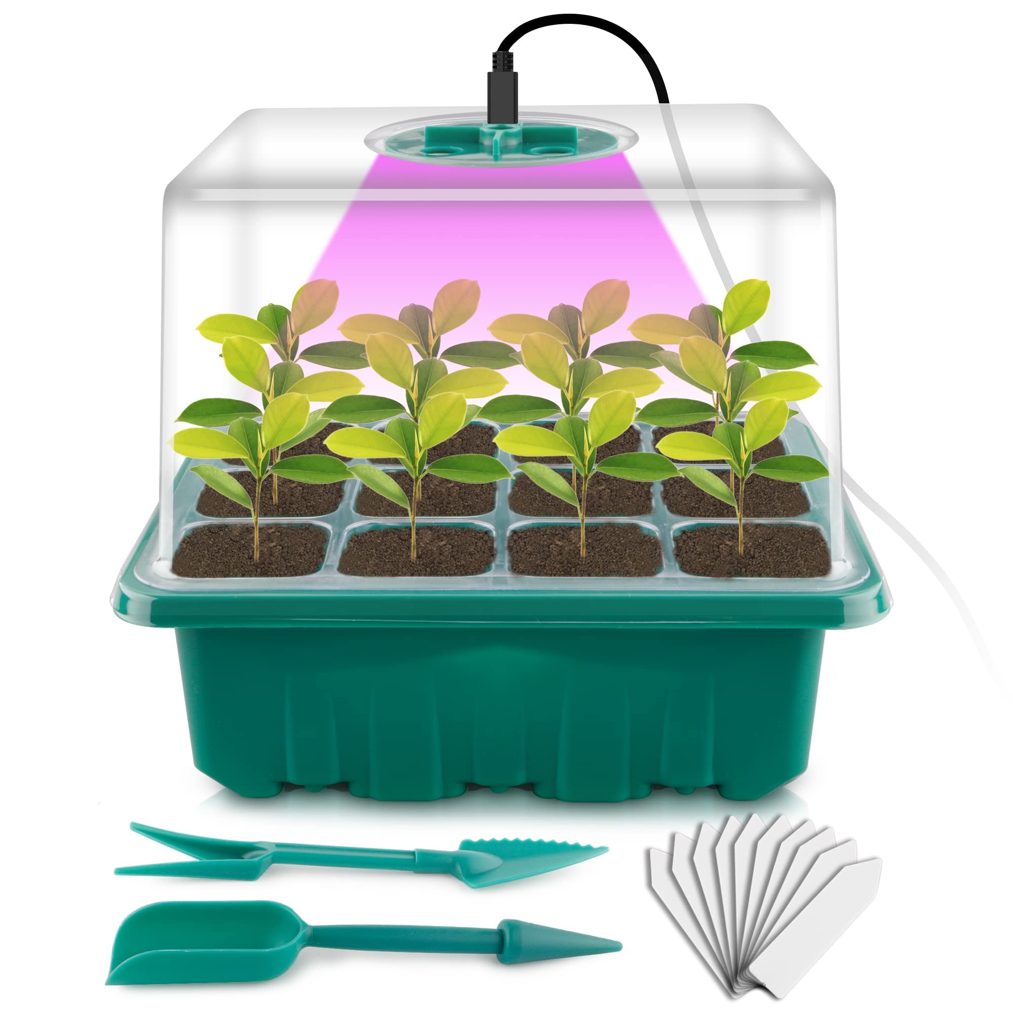 Seed Starter Tray with Grow Light - 12 Cell Plant Germination Kit with Humidity Dome & Base for Hydroponic Wheatgrass, Microgreens & Indoor Gardening | Perfect for Greenhouse, Home Growers & Classroom Projects