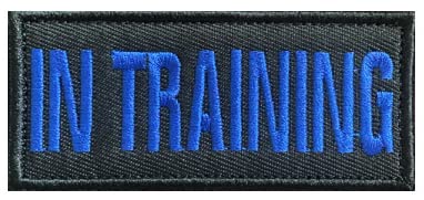 Service Dog Embroidered Patch - Military Tactical Morale Badge with Hook & Loop Backing for Uniforms, Vests, Backpacks & Tactical Gear (Color 2) - Perfect for Military Personnel, First Responders & Pet Lovers