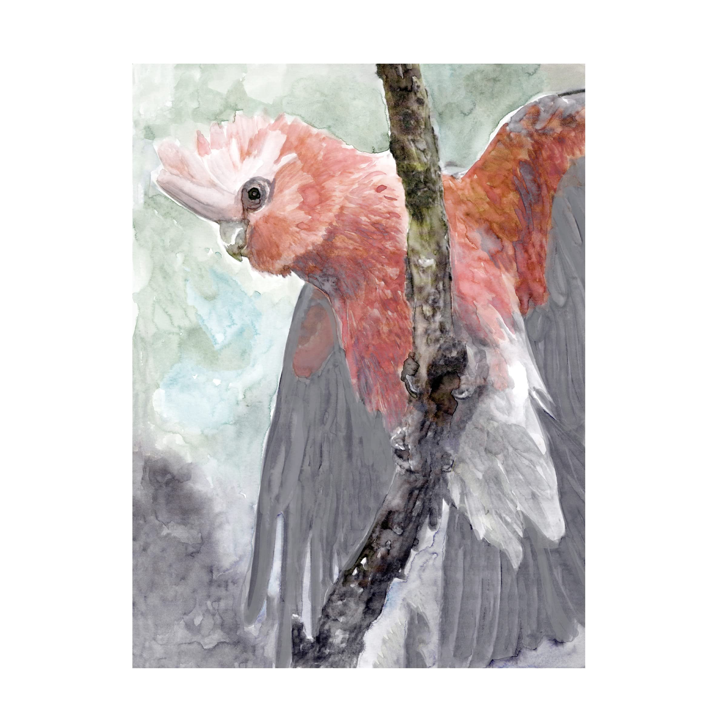 Trademark Fine Art 'Tropic Parrot II' Canvas Wall Art Print by Stellar Design Studio - Vibrant Tropical Bird Painting for Living Room, Bedroom & Office Decor