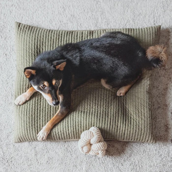 Durable Dog Chew Toy for Aggressive Chewers - Interactive Pet Toy for Large & Small Dogs - Perfect for Indoor & Outdoor Playtime