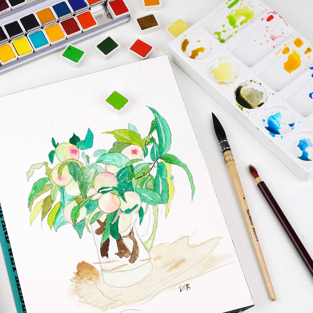 Paul Rubens Professional Watercolor Paint Set - 48 Vibrant Artist Grade Colors, Solid Cakes with Palette & 100% Cotton Hot Press Watercolor Journal - Perfect for Painting, Sketching, and Art Projects