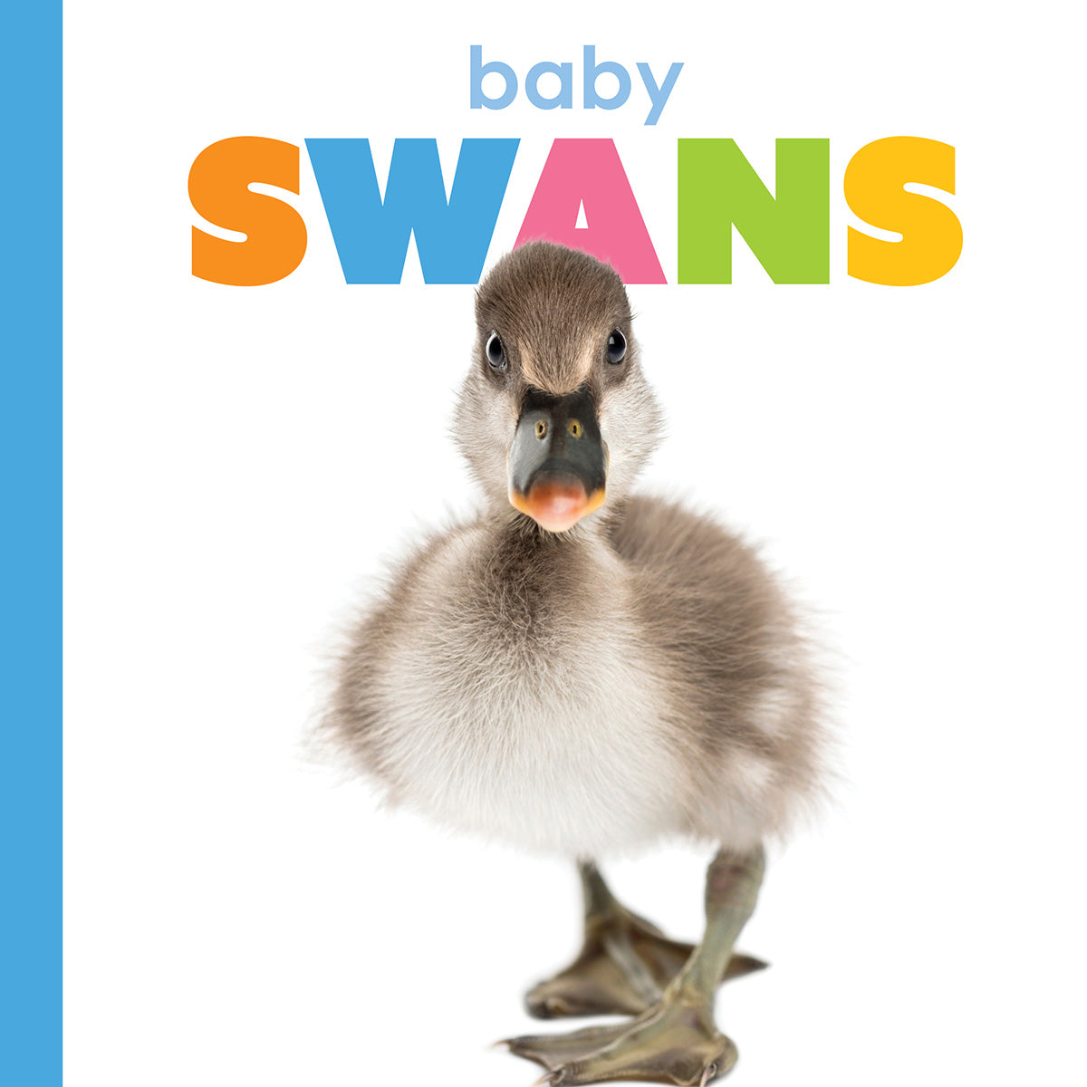 Baby Swans Starting Out - Adorable Swan Figurines for Nursery Decor, Baby Showers & Gift Ideas