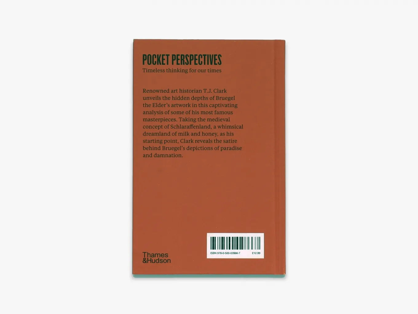 T.J. Clark on Bruegel (Pocket Perspectives) - Art History Book Analysis | Perfect for Students, Art Lovers & Museum Visitors