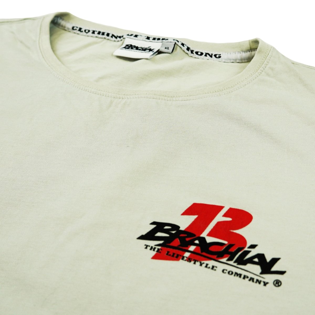 Premium Brachial T-Shirt for Men - Soft Sky Grey Cotton Tee - Casual Wear, Gym & Everyday Comfort