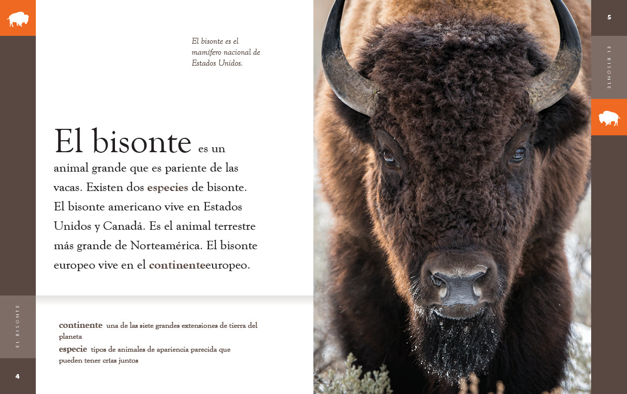 El Bisonte 9781640266681 - American Bison Book for Kids & Adults - Perfect for Wildlife Enthusiasts & Nature Education