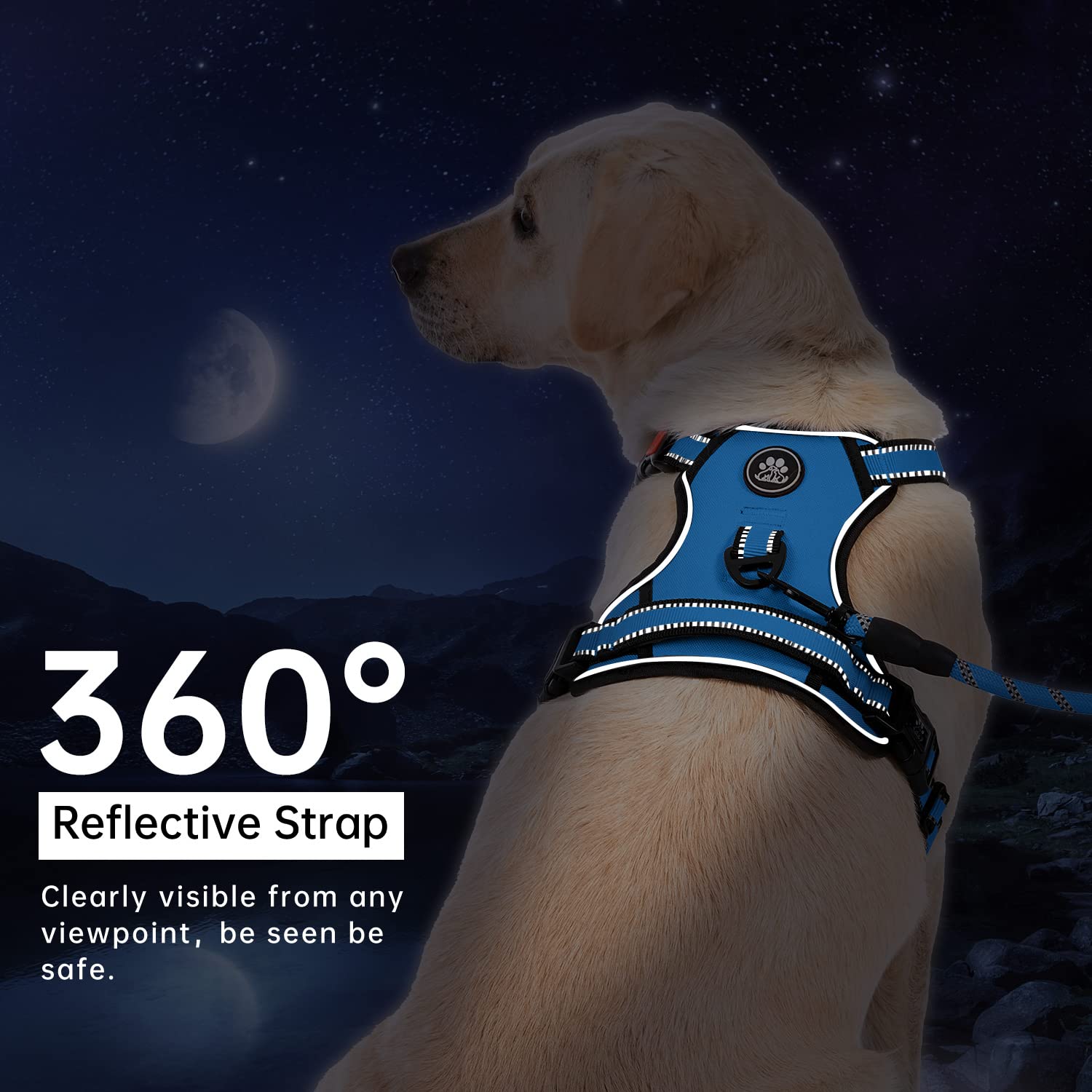 No Pull Dog Harness for Small Dogs - Adjustable Pet Vest with Leash, Safety Belt & Storage Strap - 360° Reflective Strips & Soft Handle (Blue, S) - Perfect for Walking, Training & Outdoor Adventures