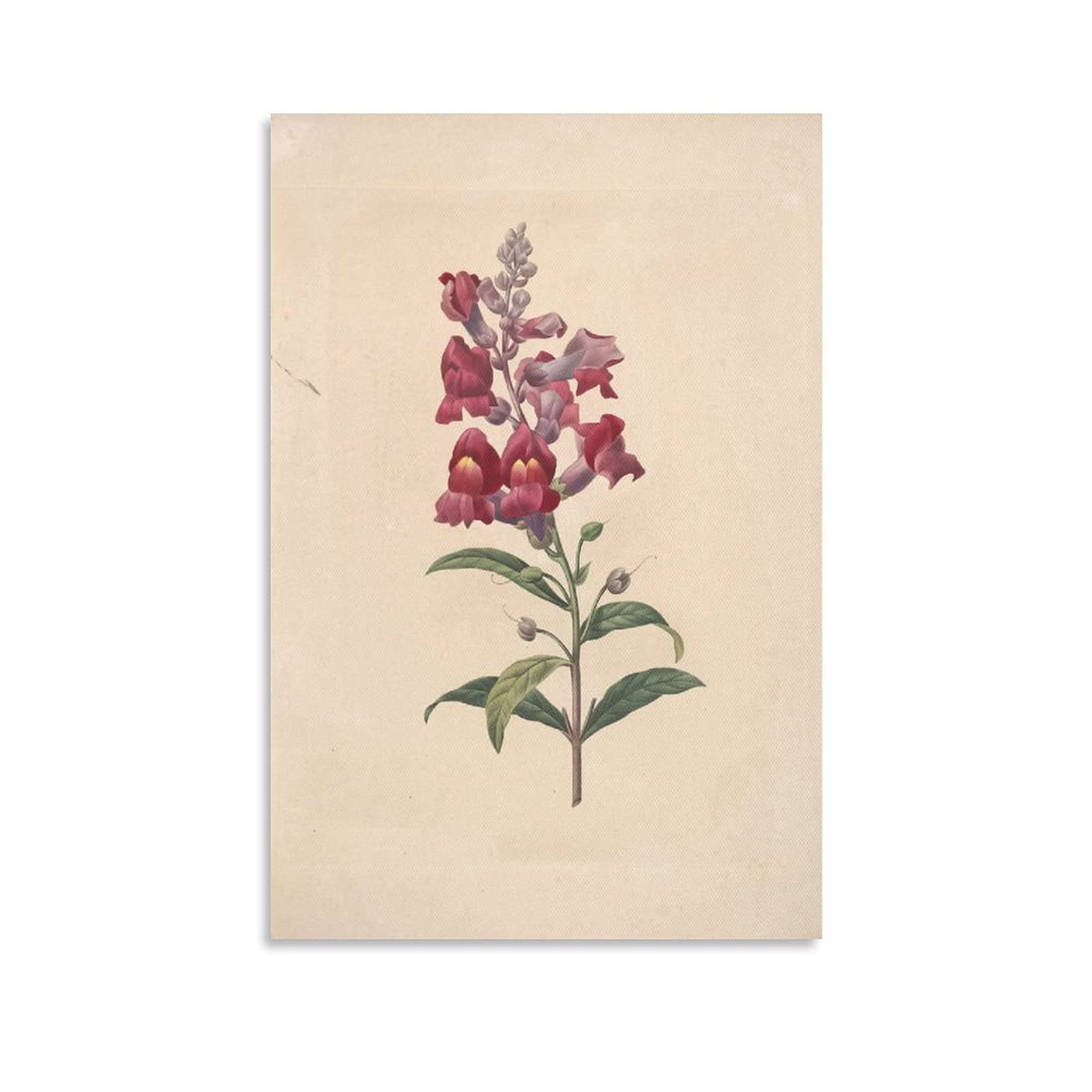 Exquisite Flower Sketch Poster - Simple Botanical Prints, Floral Wall Art, Canvas Wall Decor for Living Room, Bedroom, Office (12 Pack) - Perfect Gift for Home Decor, Wedding, Housewarming