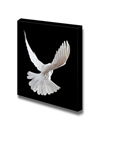 Dove