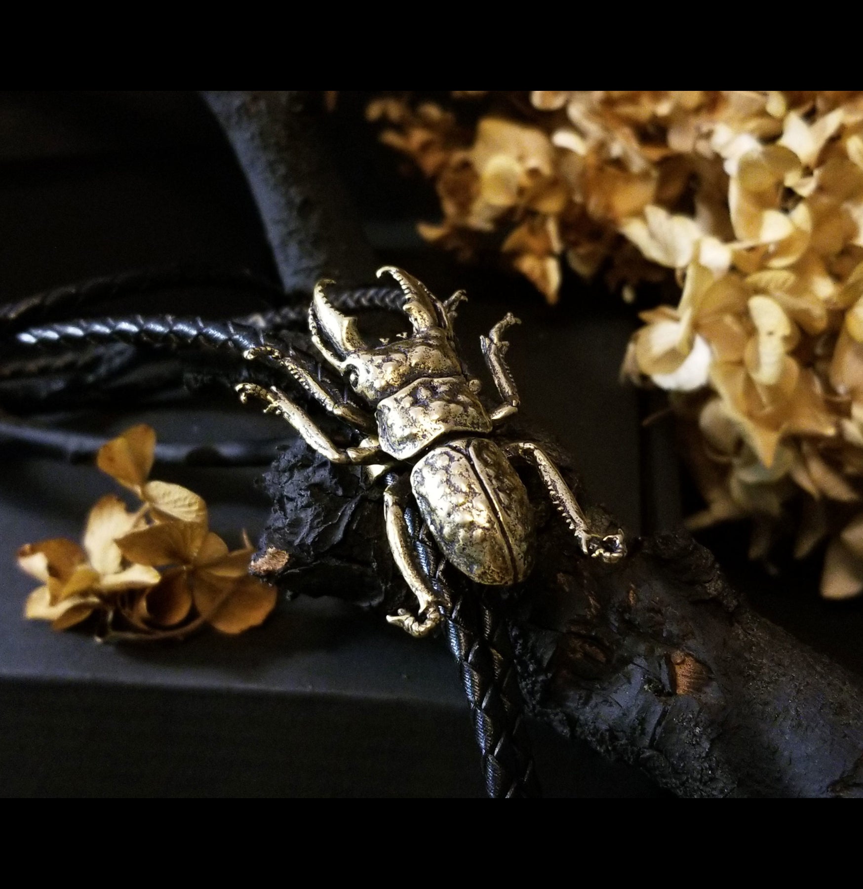 Vintage Brass Stag Beetle Bolo Tie for Men - Western Style Neckwear for Cowboy, Rodeo, and Country Music Events - Perfect for Weddings, Parties, and Western Fashion